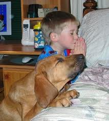 menino-e-cachorro-orando.jpg